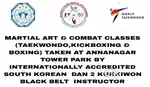 Olympic sport Korean Martial Art Taekwondo classes  in Annanagar