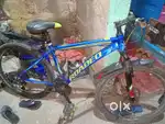 Roadeo cycle