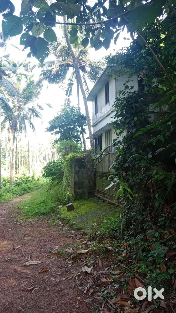 Calm and Quite place