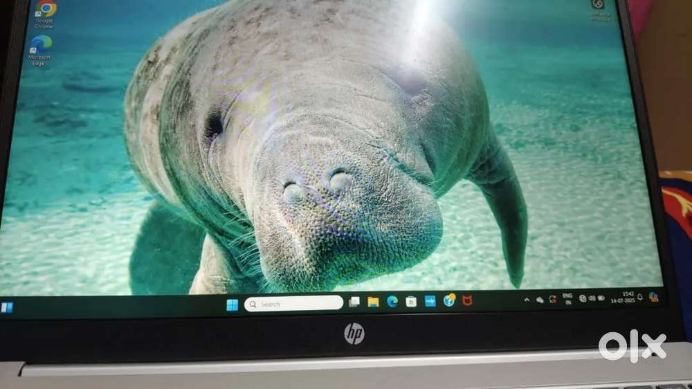 HP laptop windows 11 i5 Intel core