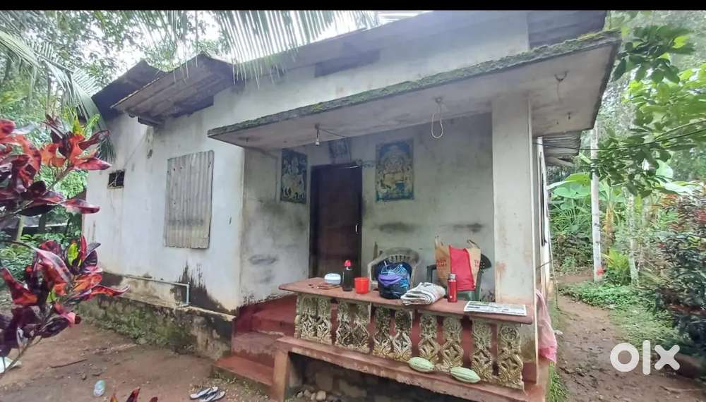 A small house and 4 cent land