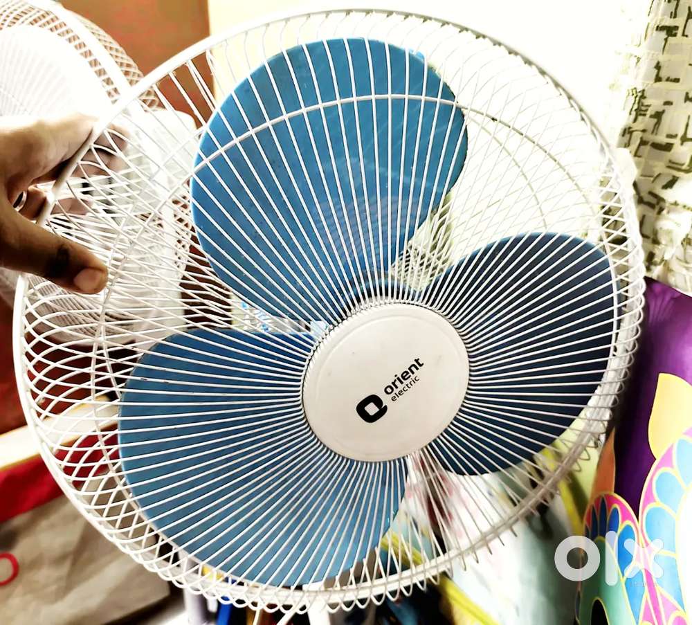Twin Pedestal Fan Offer!