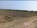 Plot for sale in Nari, Nagpur. 1750 sqft. Rs 22,75,000