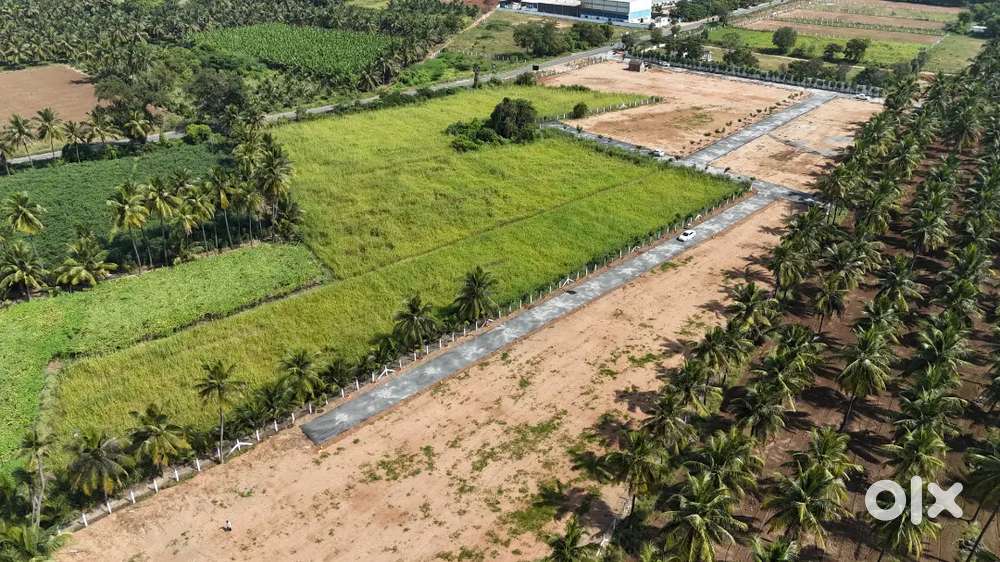 LOW BUDGET AGRI LAND FOR SALE