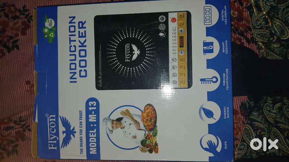 Induction cooker model M 13