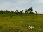 15 cents land for Sale
