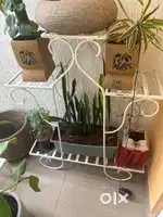 Plant stand without pots