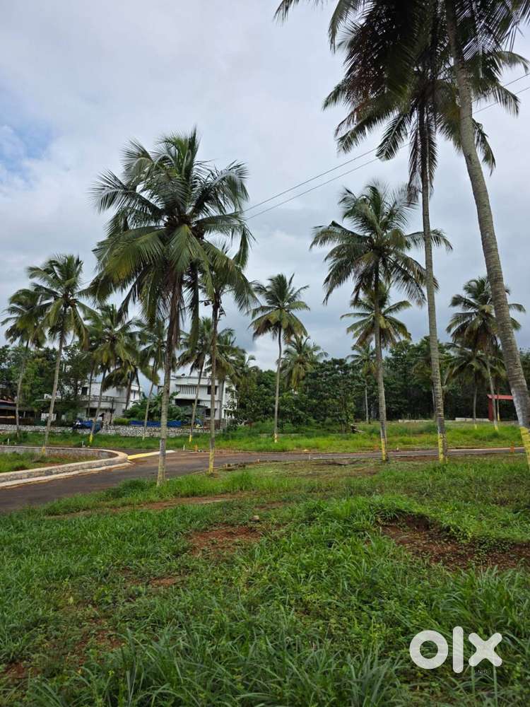 8 Cent House plot for sale in Viyyakurissi,Palakkad