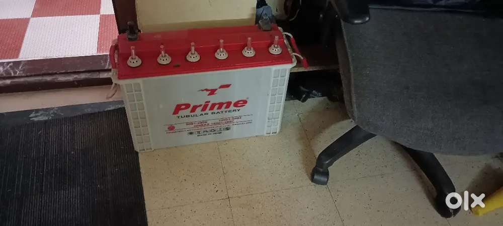 Prime 150 tubular ups battery