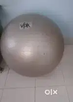 gym / physio ball