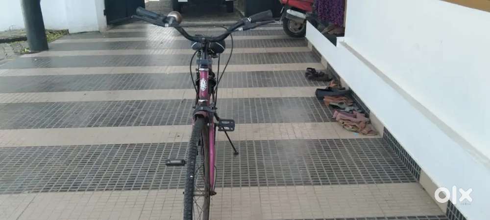 Lady bird 3year old cycle