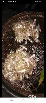 কাঠগড়ী, হোয়াইটফিল্ডের PG  জন্য কলকাতা খাবার পরিবেশন করা হয় ।