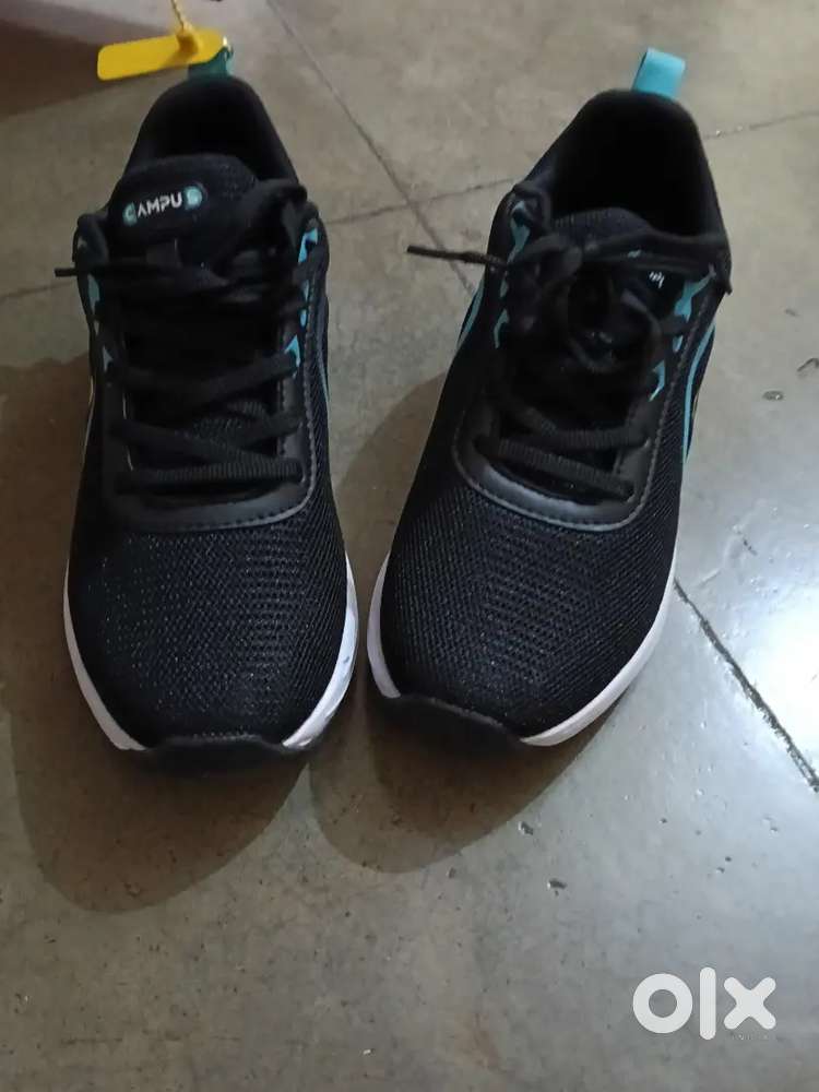 New shoes campus running shoes