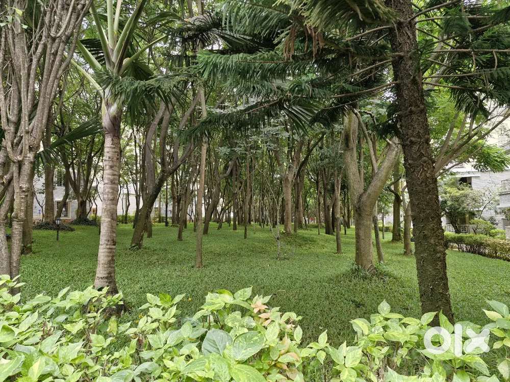 Female Roommate in villa in gated community in Whitefield