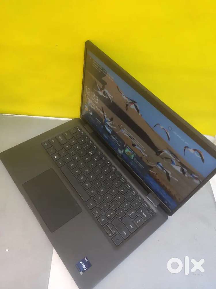 New OFFER New stock Arrived Christmas and New year offer started