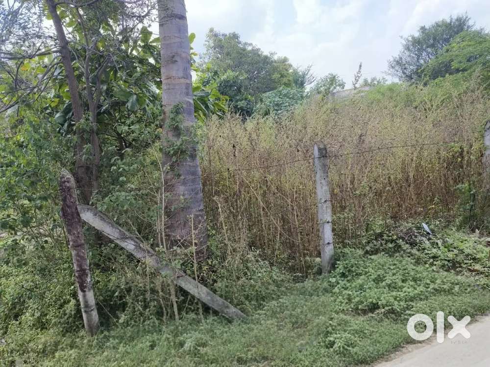 Total 2000 sq/ft. Attached large size Road