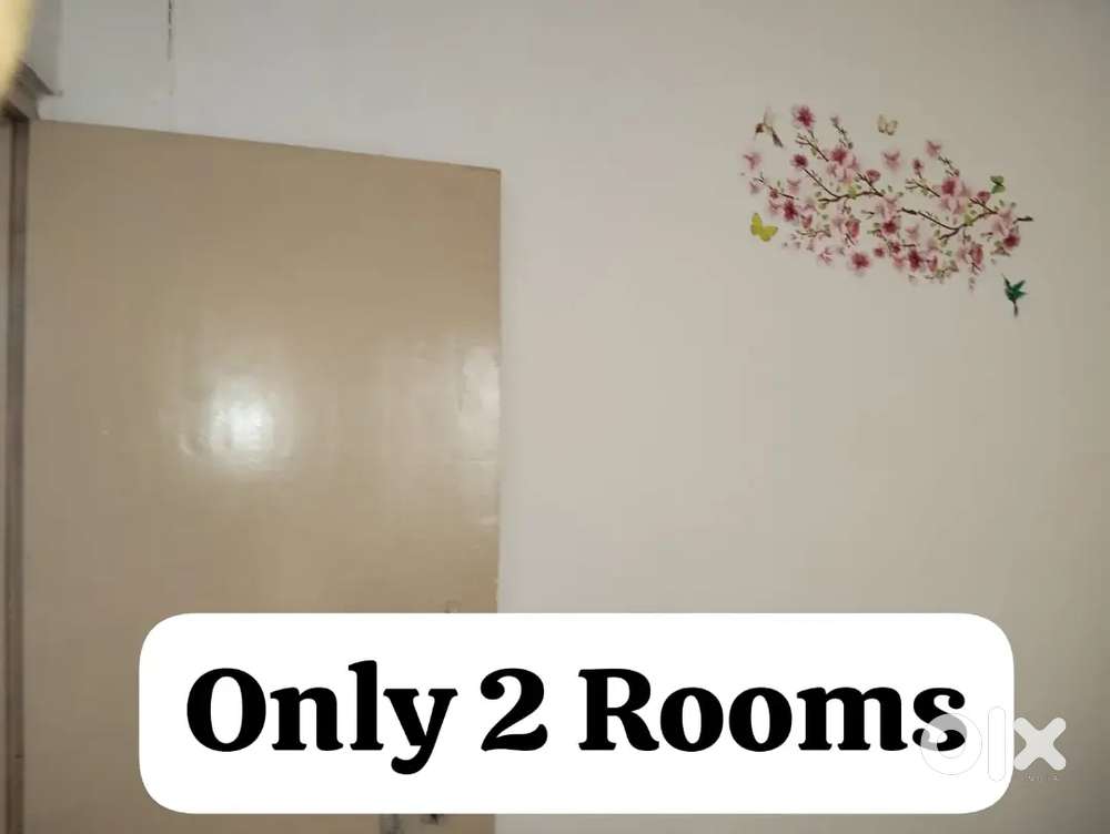Only two rooms available with bathroom kitchen suprate