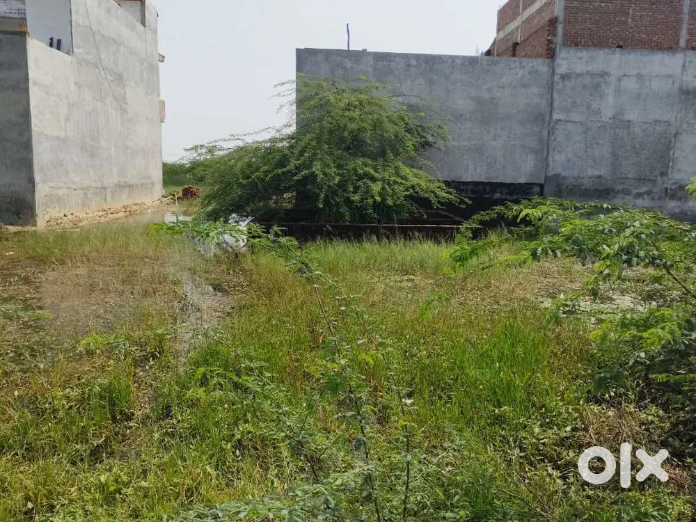 Urgent plot bikau hai Diviyapur 2 lack rupees per gaj hai