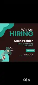 Sales and marketing executive