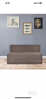 Sofa Cum Bed