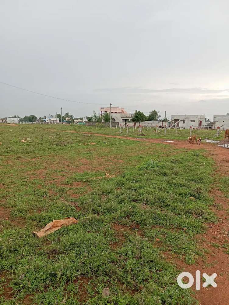PLOTS NEARBY HOUSES IN ITTERI