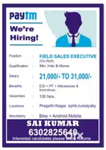 Field sales executive