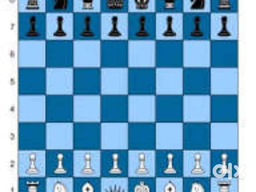 Chess training
