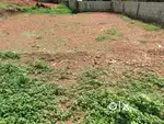 അഞ്ചു സെന്റ് സ്ഥലം വിൽപ്പനക്ക്