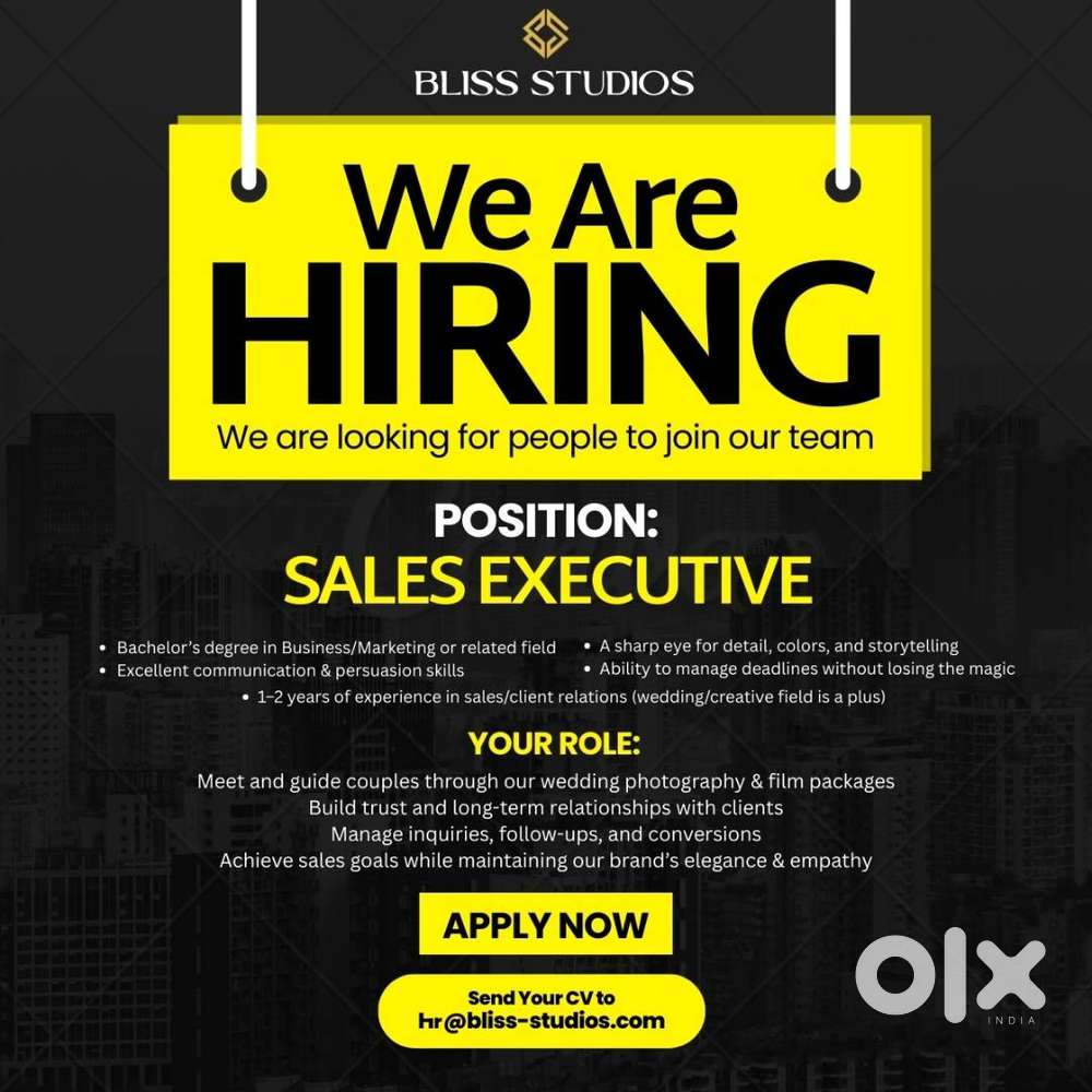 Sales Executive