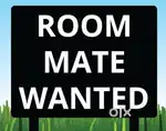 Need a roommate in 1RK at Noida sector 126 near HCL office