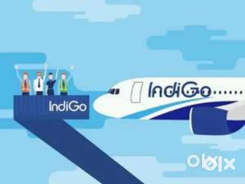 Cabin Crew/ Airport Ground Staff Jobs in Indigo airlines apply fast.