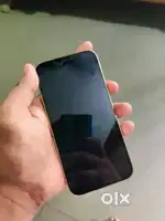12 pro 256gb
