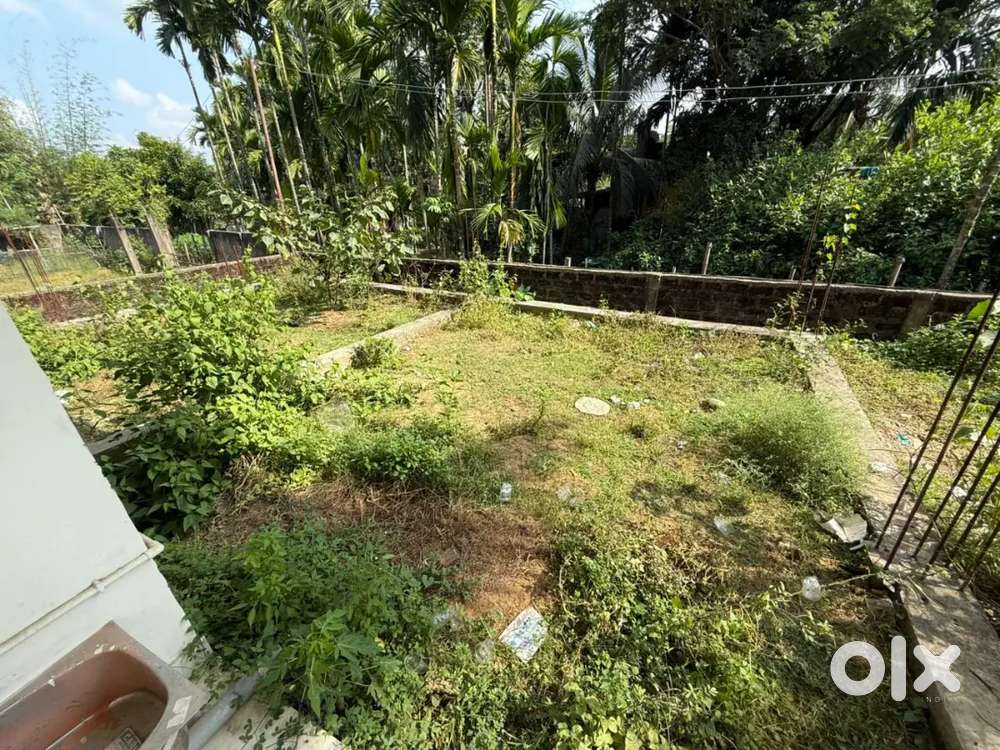 New baghatpur before barak velly school