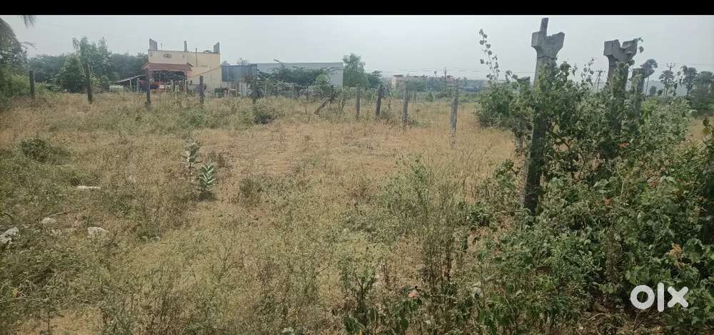 5 சென்ட் வடக்கு பார்த்த வீட்டு மனை