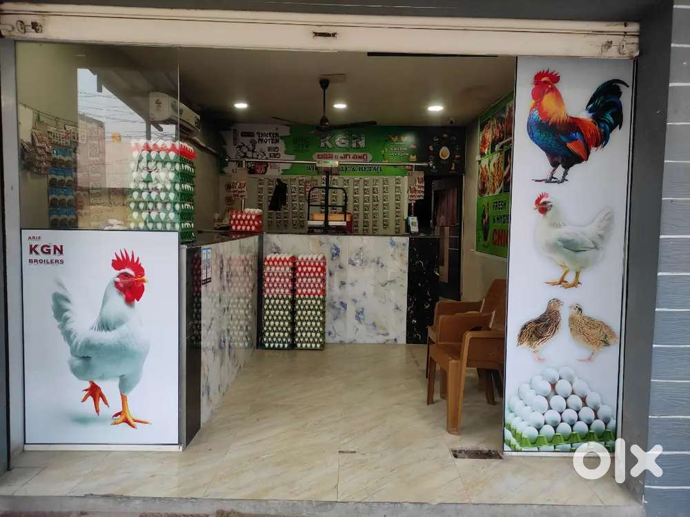 KGN CHICKEN AND EGG MART