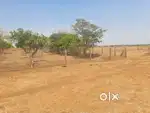 Naya Raipur Kotni me kolhan nala se laga hua 2 acre khet bechna hai