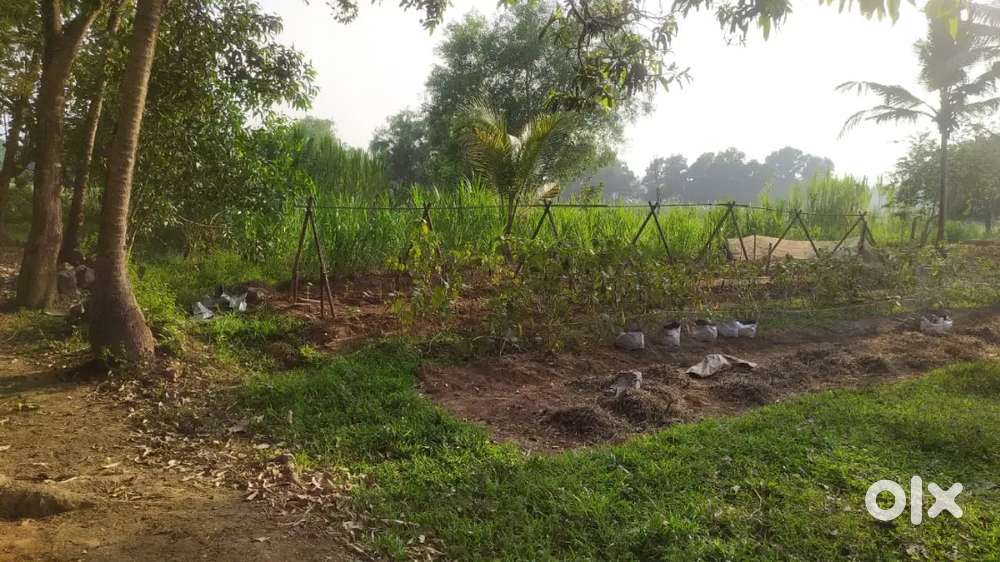 6.75 cents of housing plot for sale