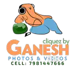 Graphic Designer (Fresher / Expert)