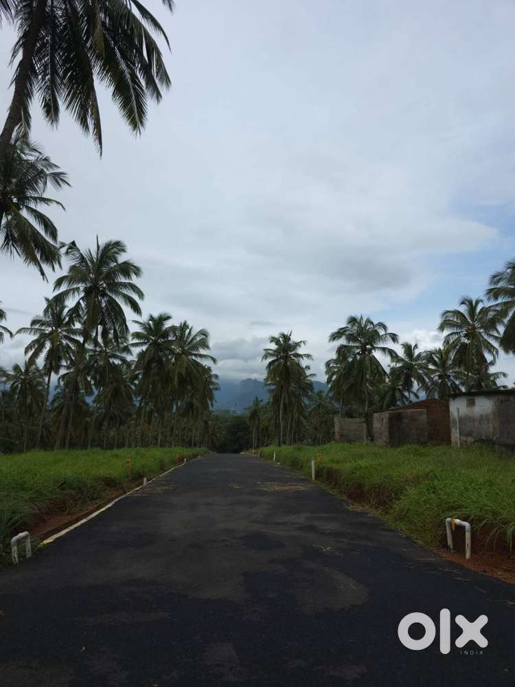 8 Cent House plot for sale in Viyyakurissi,Palakkad