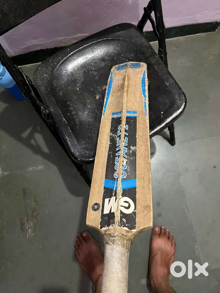 Cricket Leather bat GM