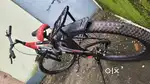 New Cycle Only 4 month old