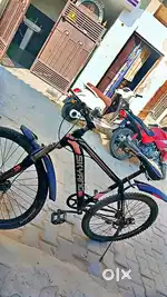 Skyyang Alpha, cycle