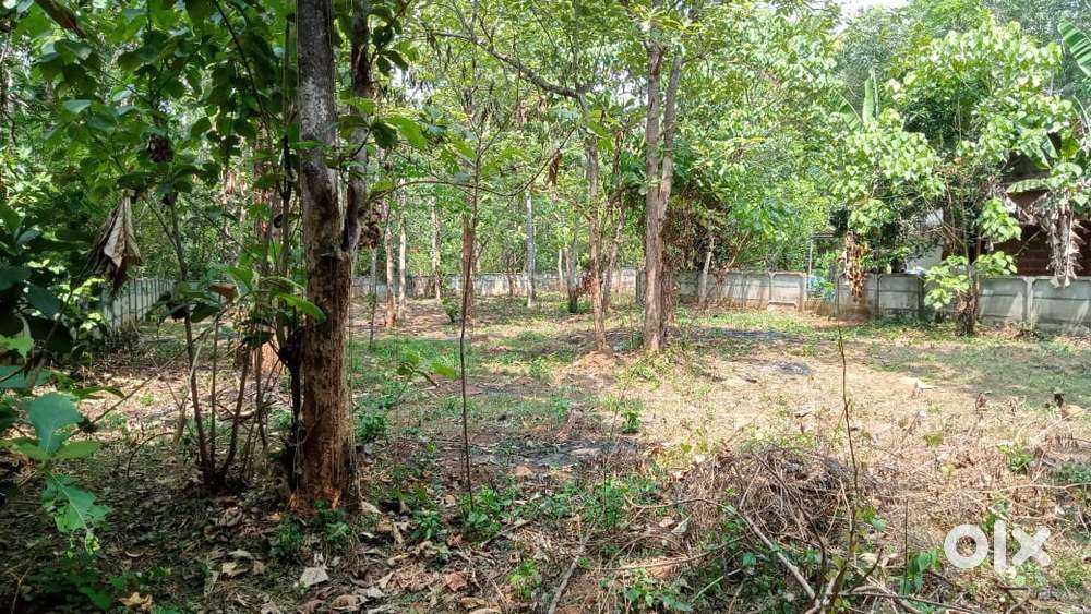 Plot for Sale