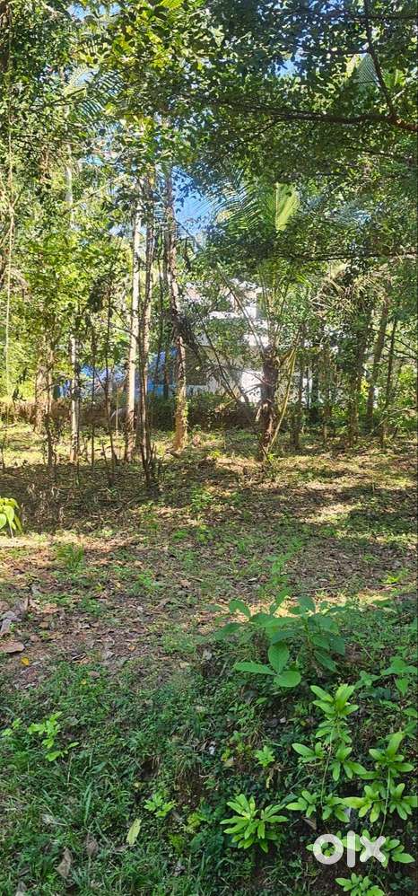 15 cent square plot for sale