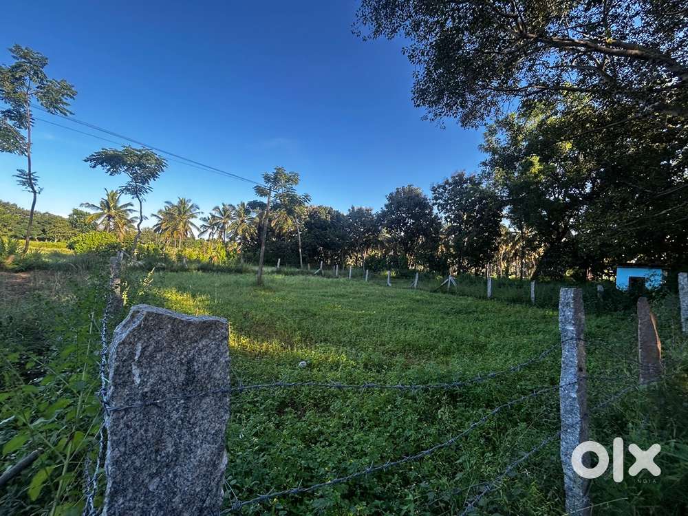 5 gunta plot available