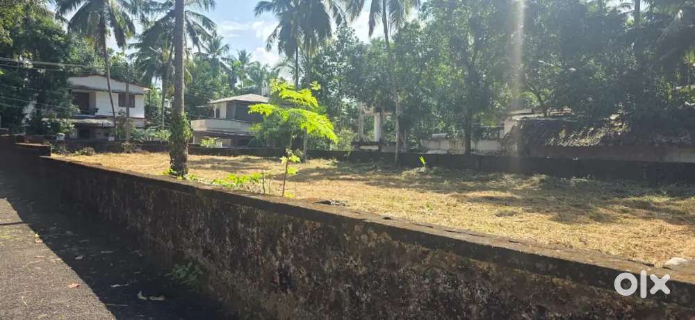 6/10/20 cent main road facing house plots