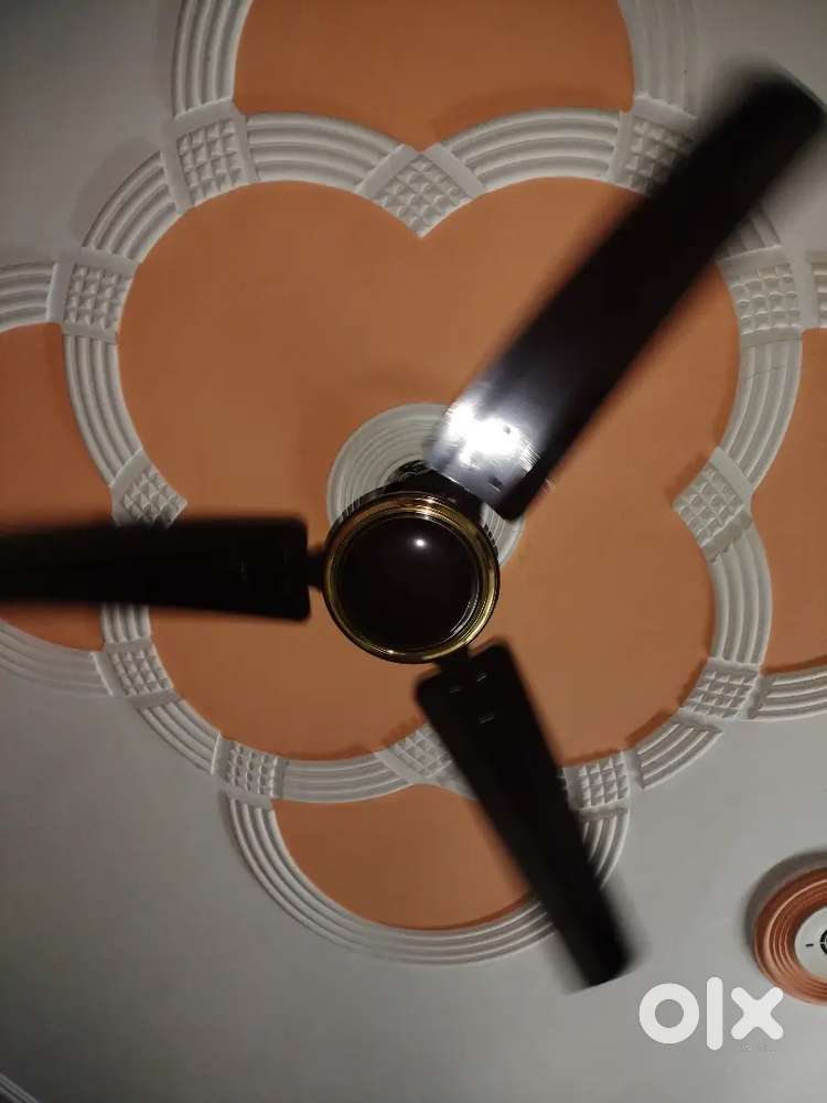 Celling fan 2 days old