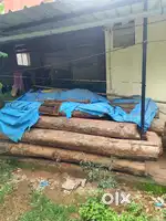 Teak wood logs 6ft