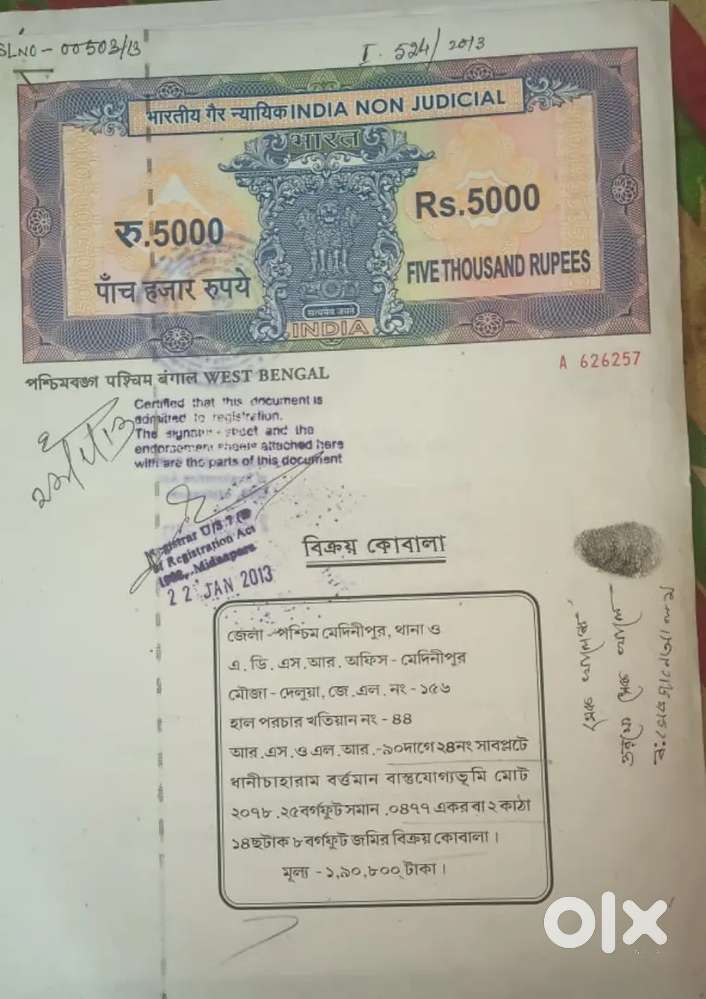 Delua mouza plot sell