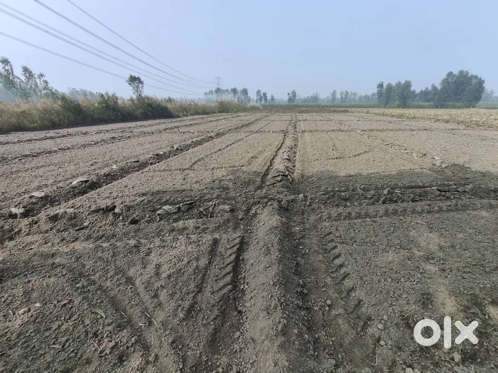Front of nanital road near atamanda